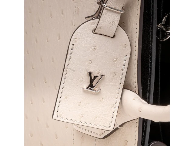A louis vuitton ivory ostrich city steamer pm handbag, with silver hardware, h 23,5 - w 27 - d 12,5 cm - afbeelding 2 van  15