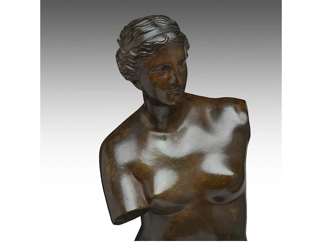 A patinated bronze copy of the famous venus de milo, lost-wax technique the bronze: 68 cm. (26.76 in.), with marble base; 73 cm. (28.73 in.) - afbeelding 7 van  7