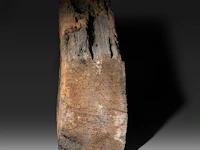 A renaissance carved oak corbel with the head of a bearded man 28 x 41 cm. (11.01 x 16.14 in.) - afbeelding 4 van  6