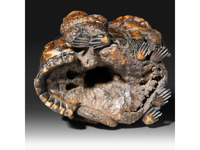 A sculpted japanese okimono of a skull with frogs, a snake and a snail, meiji period (1868-1912), signed, h 6,5 cm - w 7 cm - afbeelding 9 van  9
