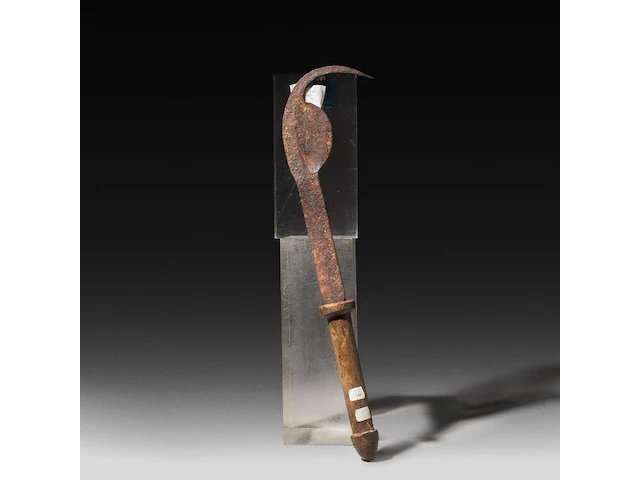 A tribal throwing axe with wooden phallic handle, congo, l 55 cm - afbeelding 1 van  4
