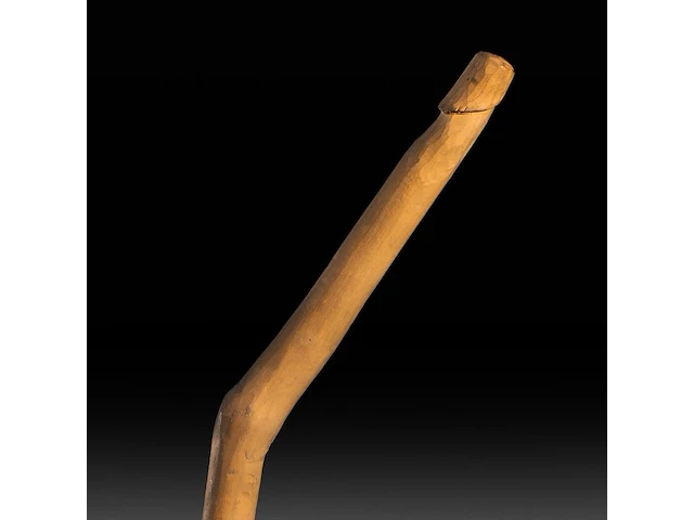 A various collection of carved wooden folk walking sticks with phallic handles - afbeelding 2 van  13