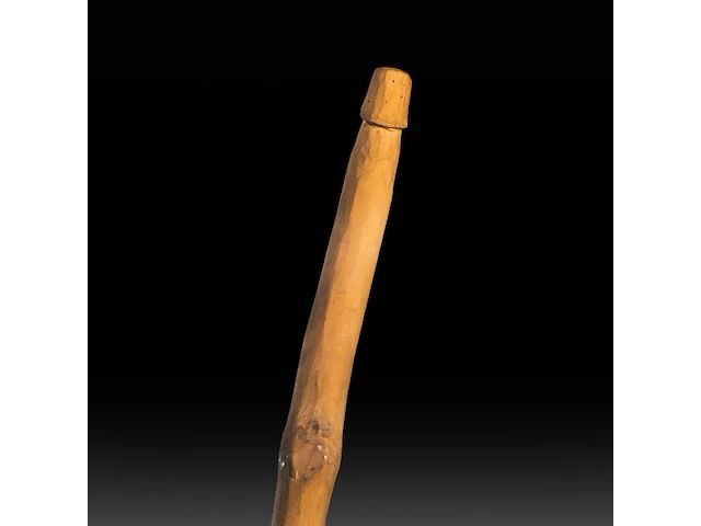 A various collection of carved wooden folk walking sticks with phallic handles - afbeelding 3 van  13