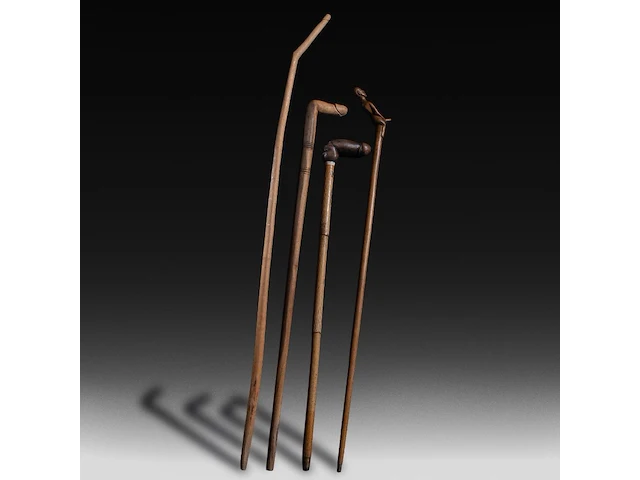 A various collection of carved wooden folk walking sticks with phallic handles - afbeelding 5 van  13
