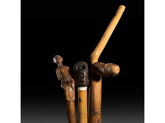 A various collection of carved wooden folk walking sticks with phallic handles - afbeelding 1 van  13