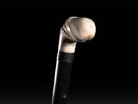 A walking stick with an ivory handle of a phallus, on the silver ring the inscription 'souvenir 1833-1893', french, 19thc, total h 90 cm - ivory h 5,5 cm - ivory w 6 cm - total weight 360g (+)