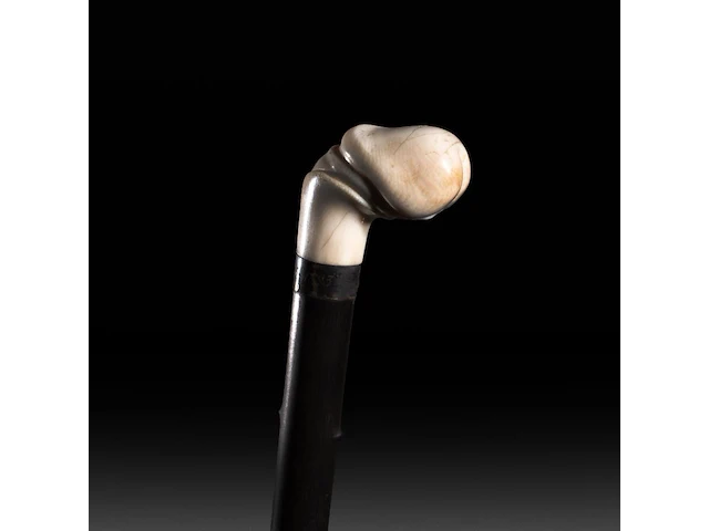 A walking stick with an ivory handle of a phallus, on the silver ring the inscription 'souvenir 1833-1893', french, 19thc, total h 90 cm - ivory h 5,5 cm - ivory w 6 cm - total weight 360g (+) - afbeelding 2 van  6