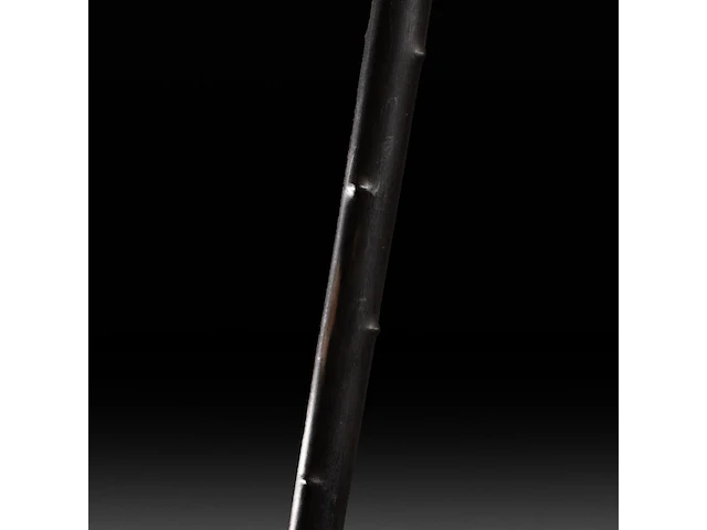 A walking stick with an ivory handle of a phallus, on the silver ring the inscription 'souvenir 1833-1893', french, 19thc, total h 90 cm - ivory h 5,5 cm - ivory w 6 cm - total weight 360g (+) - afbeelding 4 van  6