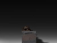 A wooden hermaphrodite fertility doll, dogon, mali 36 cm. (14.16 in.) - afbeelding 4 van  5