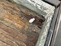 Aanhangwagen 750kg - afbeelding 12 van  13