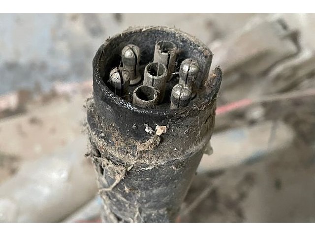 Aanhangwagen dubbele as pattyn - afbeelding 8 van  8