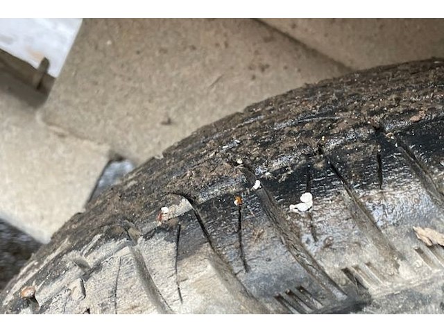 Aanhangwagen knott - afbeelding 8 van  10