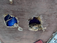 Aanhangwagen r.w. - afbeelding 5 van  15