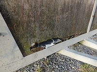 Aanhangwagen westtrail - afbeelding 8 van  8