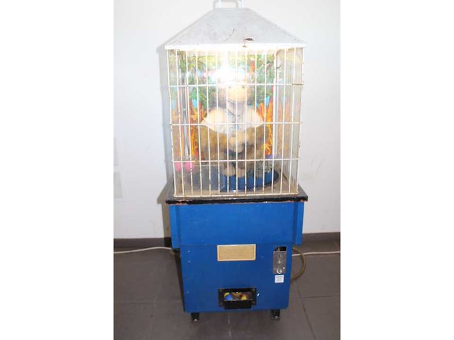 Aap - speelautomaat - afbeelding 2 van  5