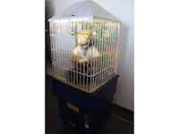 Aap - speelautomaat - afbeelding 4 van  5