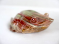 Aardewerk (x5) - afbeelding 3 van  11