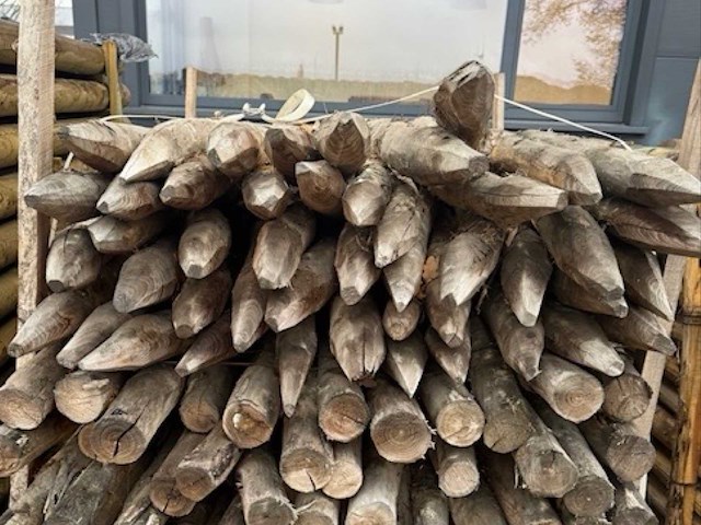 Acacia tuinpalen 6/8cm op 2m (150x) - afbeelding 1 van  3