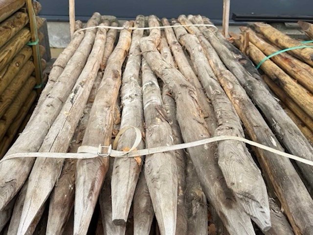 Acacia tuinpalen 6/8cm op 2m (150x) - afbeelding 2 van  3