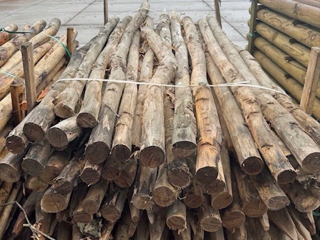 Acacia tuinpalen 6/8cm op 2m (150x) - afbeelding 3 van  3