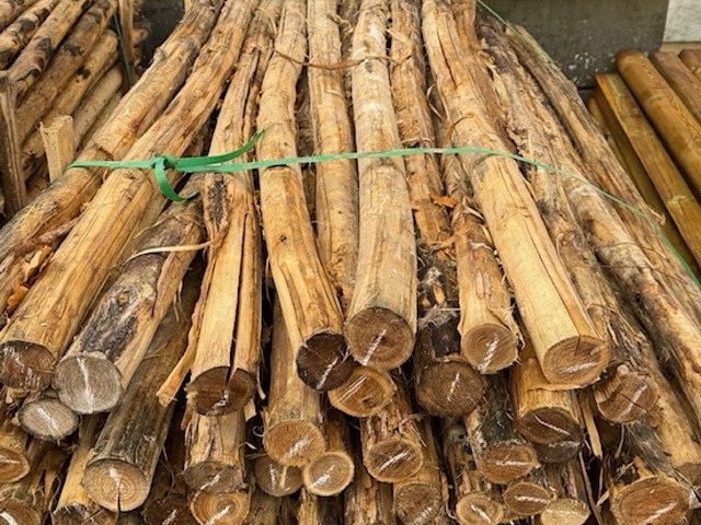 Acacia tuinpalen 6/8cm op 2m50 (140x) - afbeelding 2 van  3