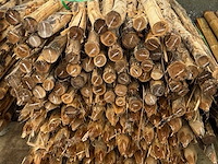 Acacia tuinpalen 6/8cm op 2m50 (140x) - afbeelding 3 van  3