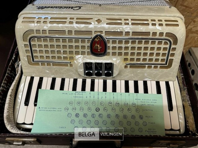 Accordeon - afbeelding 5 van  8
