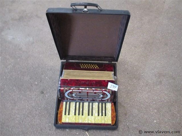Accordion - afbeelding 1 van  4