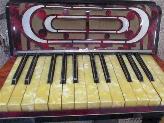 Accordion - afbeelding 4 van  4