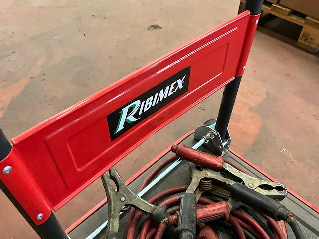 Accu (2x) + transportkar - afbeelding 7 van  7