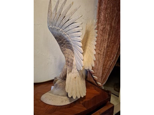 Adelaar - afbeelding 2 van  4