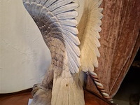 Adelaar - afbeelding 2 van  4