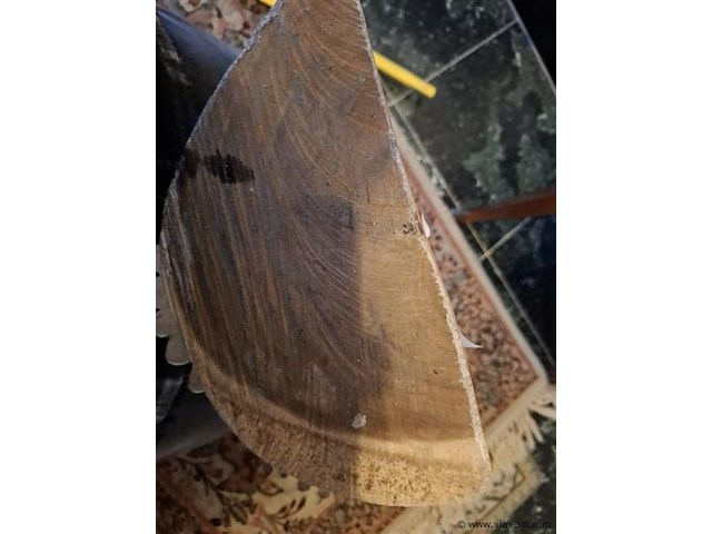 Adelaar - afbeelding 3 van  4