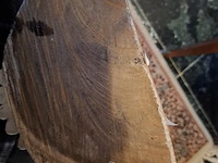 Adelaar - afbeelding 3 van  4