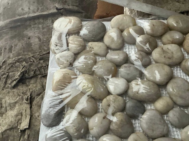 Adeo border galet il creme polished keramische wandtegel (350x) - afbeelding 2 van  5