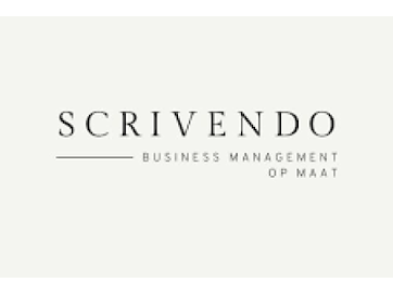 Adviesbureau scrivendo bv