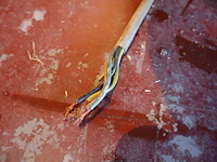 Aeg oven met kookplaat - afbeelding 9 van  9