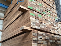 Afrormosia (500 stuks) - afbeelding 1 van  3