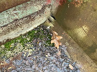 Afzetcontainer - afbeelding 11 van  11