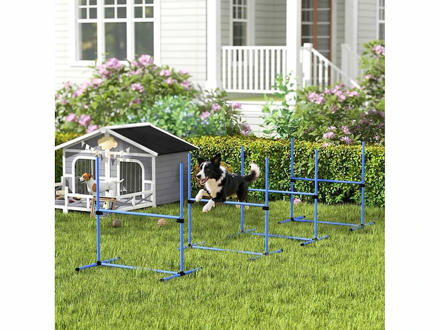 Agilitysport voor honden met 4 professionele obstakels - afbeelding 1 van  3
