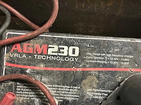 Agm batterij (2x) - afbeelding 2 van  5