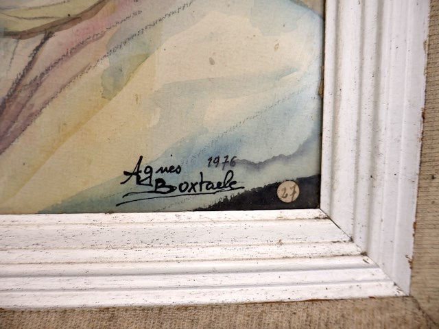 Agnes boxtaele (x17) - afbeelding 16 van  16