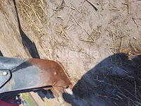 Agram geo combi depositor - afbeelding 3 van  6