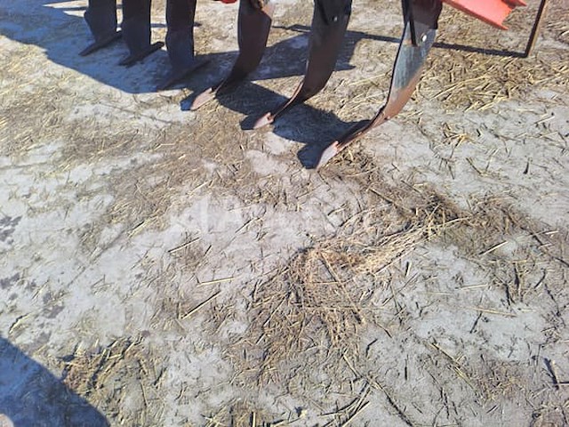 Agram geo combi depositor - afbeelding 5 van  6