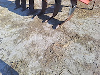 Agram geo combi depositor - afbeelding 5 van  6