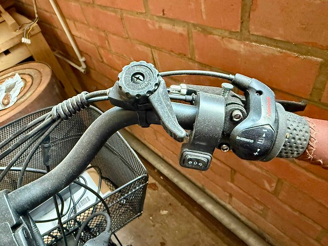 Ai tour elektrische fiets - afbeelding 7 van  10