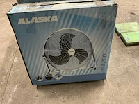 Alaska fan (3x) - afbeelding 3 van  3