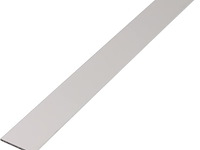 Alberts platte lat - afbeelding 1 van  1