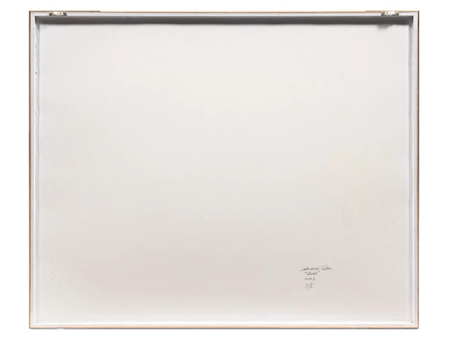 Albrecht tübke (1971), two portraits from the series 'heads', 2007, c-print, n° 1/6 and 3/6 60 x 80 cm. (23.62 x 31 1/2 in.), frame: 83 x 101 cm. (32.67 x 39.75 in.) - afbeelding 8 van  9