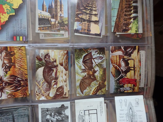 Album diverse chromes - afbeelding 2 van  3